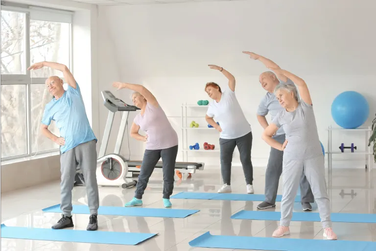 Balance and Fall Screens